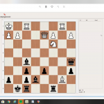 Online schaaklessen.